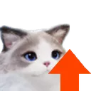 Psycat_UpVote