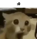 gasp