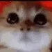 ragey