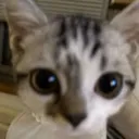looksatyou