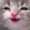 C1_CatSmirk
