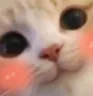 UWU