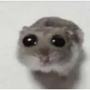 emoji_9