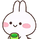 rabbitsip_ggBundleupcom