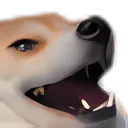 kekdog