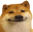 smoile