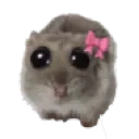 lia