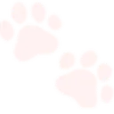 CA_KittyPaws