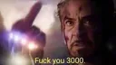 fuckyou3000