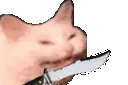 catstab