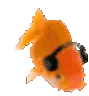 jammin