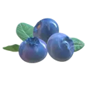 BP_blueberry Discord Emoji