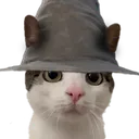 crunchywiz crunchywiz