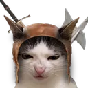 fightercat fightercat