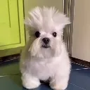 __