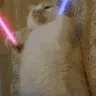 lasercat