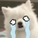 p_cry