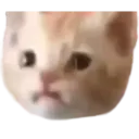 normal_mical