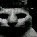Uncannycat