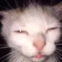 eepy eepy