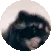 pedro