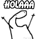 flork_hola flork_hola