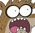 shock shock