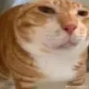 pluh