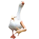 sillygoose