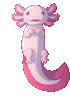 Axolotl