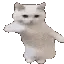 cattime