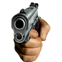 Gun