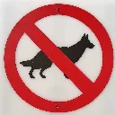 dogsout