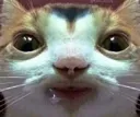 fentanilio_kate2 fentanilio_kate2