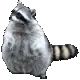 racspin