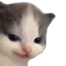 hehe
