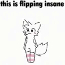 Flippinginsane