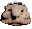 butler