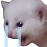 sadextreme