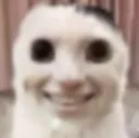 TheRealm