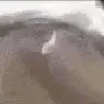 j_Jesus_Skatin