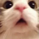 emoji_8