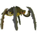 5Bug_titian
