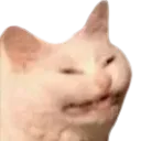 CatEhhh