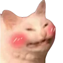 KawaiCat