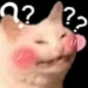 CatWadafaq CatWadafaq