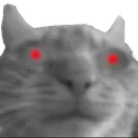 4cat_scary Discord Emoji