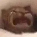 waaa