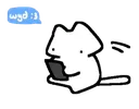 Catwyd