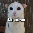 CC_theautism